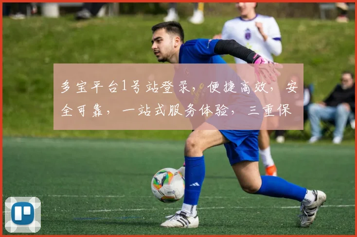 多宝平台1号站登录，便捷高效，安全可靠，一站式服务体验，三重保障，必选首选