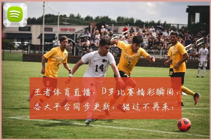 王者体育直播，D罗比赛精彩瞬间，各大平台同步更新，错过不再来，快来看看吧